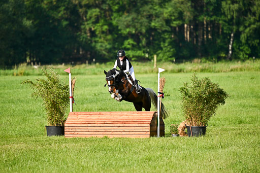 Goldene Schärpe Ponys in Löningen 2026 | 06062026 Gelände 1 Abt_0037 