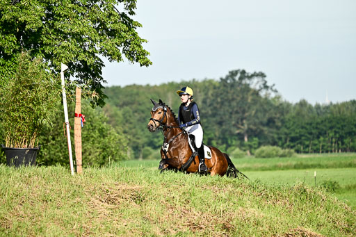 Goldene Schärpe Ponys in Löningen 2026 | 06062026 Gelände 1 Abt_0061 