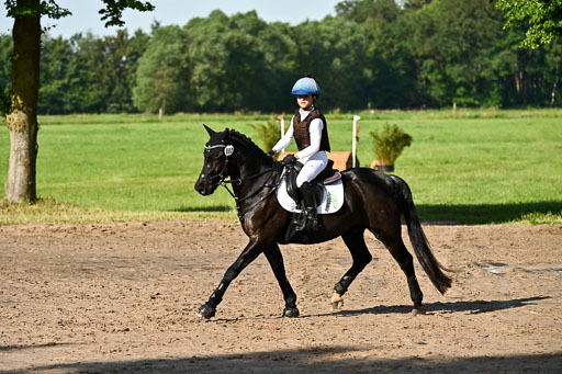 Goldene Schärpe Ponys in Löningen 2026 | 06062026 Gelände 1 Abt_0065 