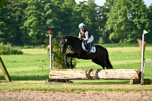 Goldene Schärpe Ponys in Löningen 2026 | 06062026 Gelände 1 Abt_0081 