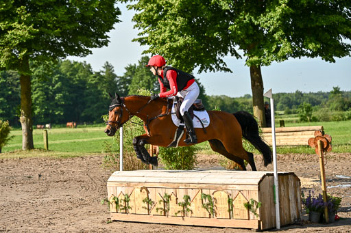 Goldene Schärpe Ponys in Löningen 2026 | 06062026 Gelände 1 Abt_0100 
