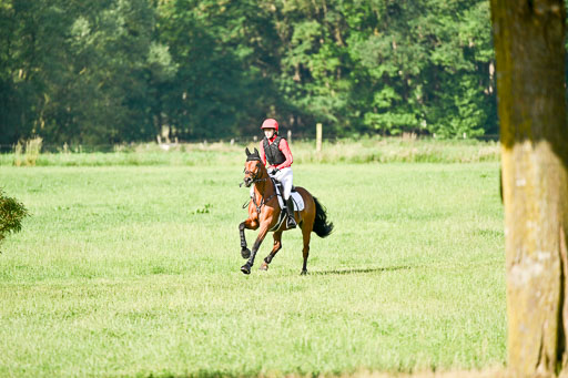 Goldene Schärpe Ponys in Löningen 2026 | 06062026 Gelände 1 Abt_0101 