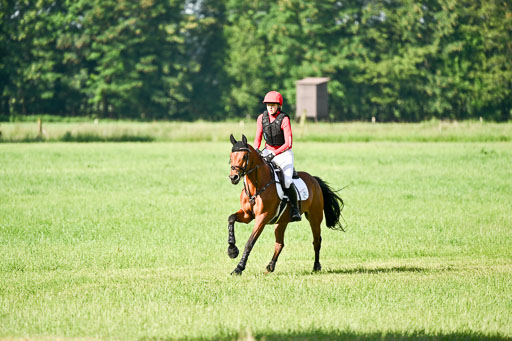 Goldene Schärpe Ponys in Löningen 2026 | 06062026 Gelände 1 Abt_0108 
