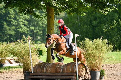 Goldene Schärpe Ponys in Löningen 2026 | 06062026 Gelände 1 Abt_0121 