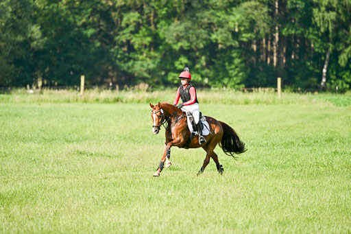 Goldene Schärpe Ponys in Löningen 2026 | 06062026 Gelände 1 Abt_0173 