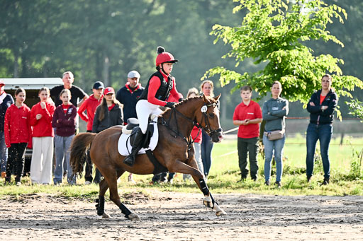 Goldene Schärpe Ponys in Löningen 2026 | 06062026 Gelände 1 Abt_0186 
