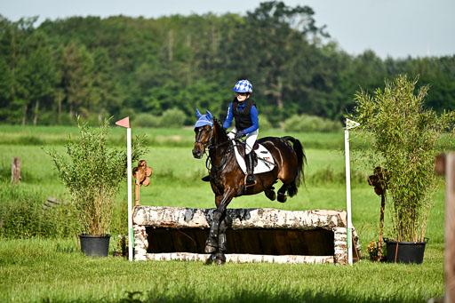 Goldene Schärpe Ponys in Löningen 2026 | 06062026 Gelände 1 Abt_0196 