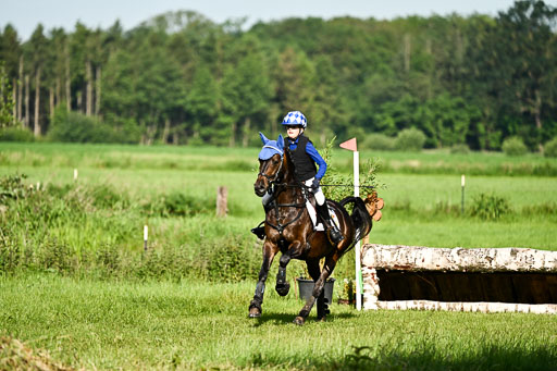 Goldene Schärpe Ponys in Löningen 2026 | 06062026 Gelände 1 Abt_0197 
