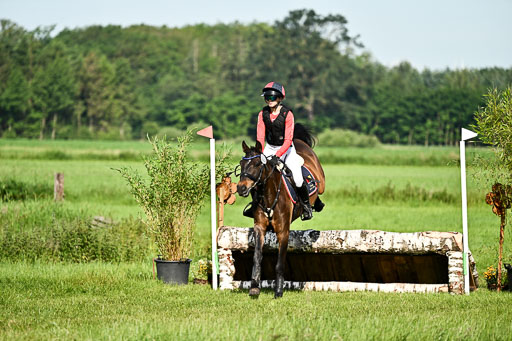 Goldene Schärpe Ponys in Löningen 2026 | 06062026 Gelände 1 Abt_0302 