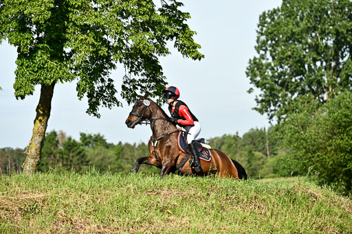 Goldene Schärpe Ponys in Löningen 2026 | 06062026 Gelände 1 Abt_0303 