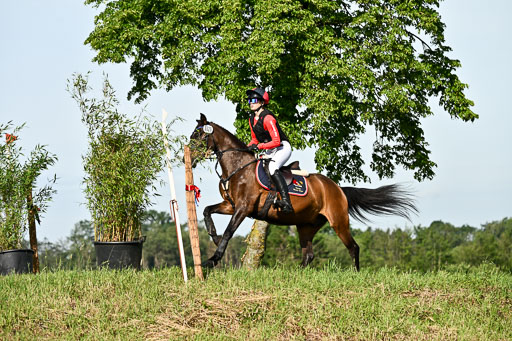 Goldene Schärpe Ponys in Löningen 2026 | 06062026 Gelände 1 Abt_0304 