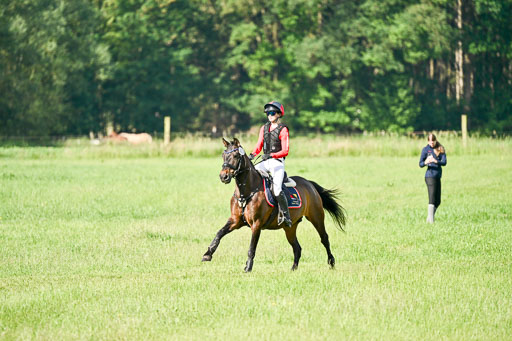 Goldene Schärpe Ponys in Löningen 2026 | 06062026 Gelände 1 Abt_0308 