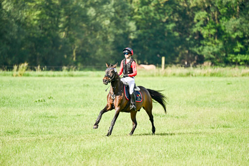 Goldene Schärpe Ponys in Löningen 2026 | 06062026 Gelände 1 Abt_0309 