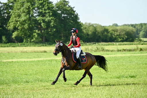 Goldene Schärpe Ponys in Löningen 2026 | 06062026 Gelände 1 Abt_0313 
