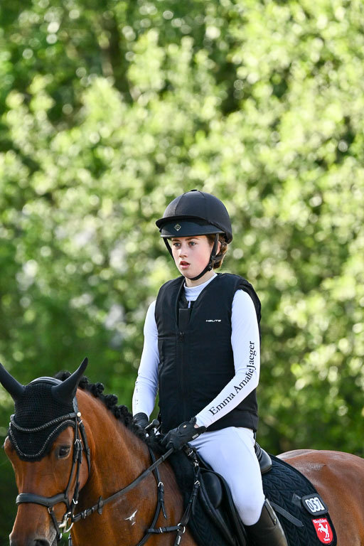 Goldene Schärpe Ponys in Löningen 2026 | 06062026 Gelände 1 Abt_0324 