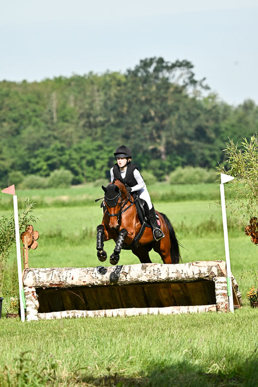 Goldene Schärpe Ponys in Löningen 2026 | 06062026 Gelände 1 Abt_0327 
