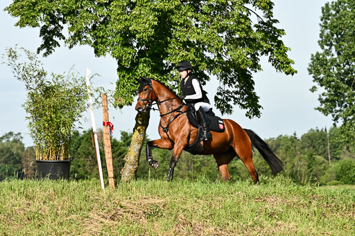 Goldene Schärpe Ponys in Löningen 2026 | 06062026 Gelände 1 Abt_0329 