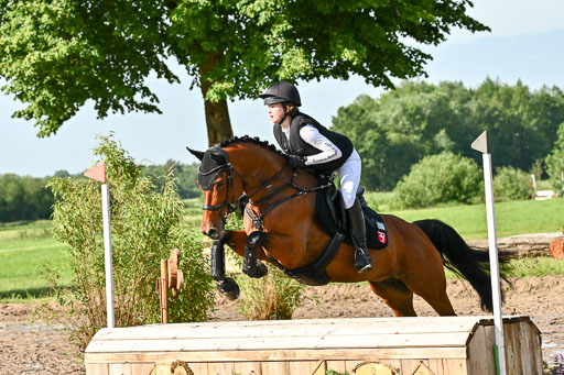 Goldene Schärpe Ponys in Löningen 2026 | 06062026 Gelände 1 Abt_0331 
