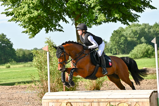 Goldene Schärpe Ponys in Löningen 2026 | 06062026 Gelände 1 Abt_0332 