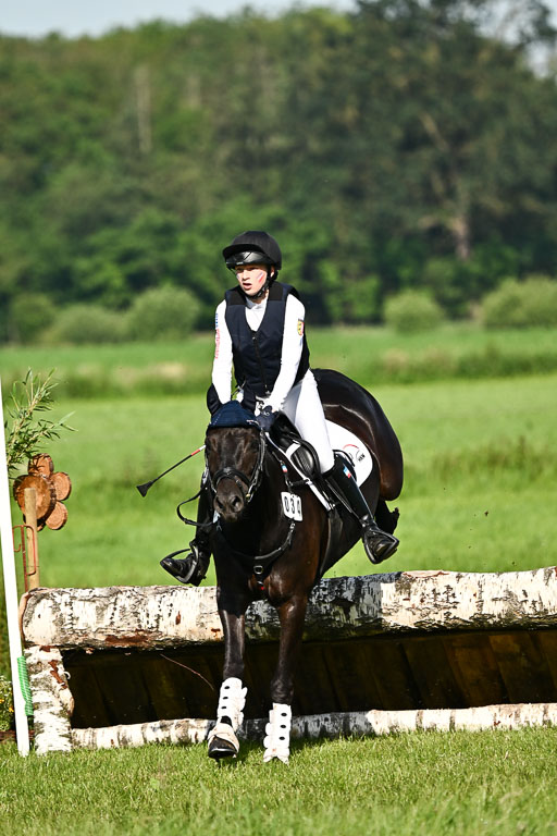 Goldene Schärpe Ponys in Löningen 2026 | 06062026 Gelände 1 Abt_0356 