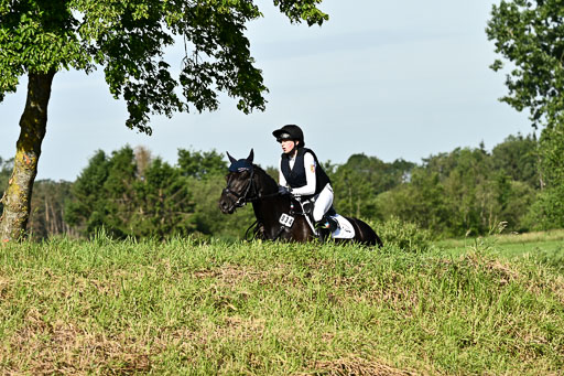 Goldene Schärpe Ponys in Löningen 2026 | 06062026 Gelände 1 Abt_0357 