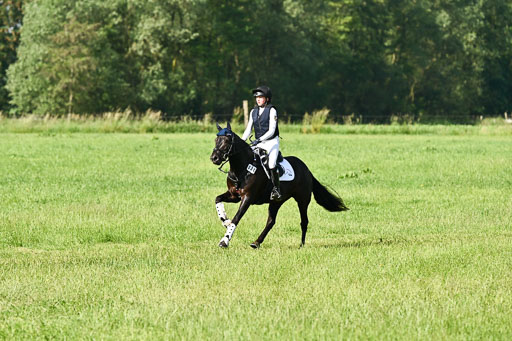 Goldene Schärpe Ponys in Löningen 2026 | 06062026 Gelände 1 Abt_0362 