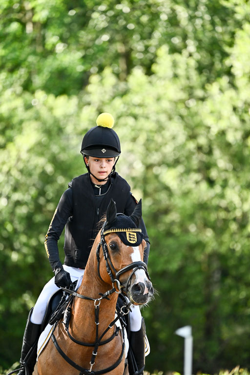 Goldene Schärpe Ponys in Löningen 2026 | 06062026 Gelände 1 Abt_0374 