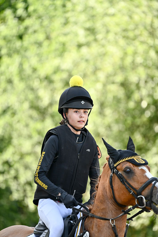 Goldene Schärpe Ponys in Löningen 2026 | 06062026 Gelände 1 Abt_0375 
