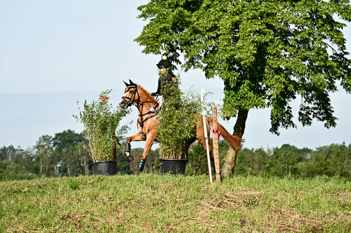 Goldene Schärpe Ponys in Löningen 2026 | 06062026 Gelände 1 Abt_0380 