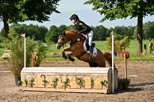 Goldene Schärpe Ponys in Löningen 2026 | 06062026 Gelände 1 Abt_0382 