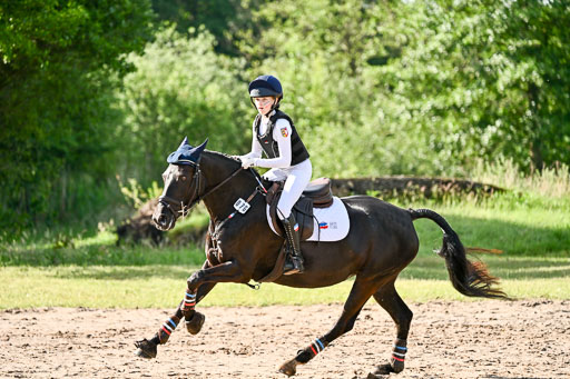 Goldene Schärpe Ponys in Löningen 2026 | 06062026 Gelände 1 Abt_0387 