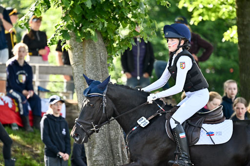 Goldene Schärpe Ponys in Löningen 2026 | 06062026 Gelände 1 Abt_0388 