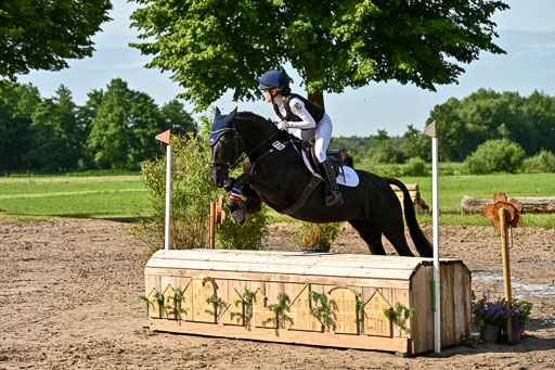 Goldene Schärpe Ponys in Löningen 2026 | 06062026 Gelände 1 Abt_0398 