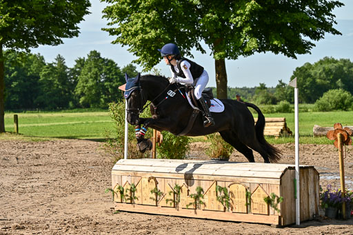 Goldene Schärpe Ponys in Löningen 2026 | 06062026 Gelände 1 Abt_0399 