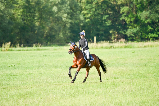 Goldene Schärpe Ponys in Löningen 2026 | 06062026 Gelände 1 Abt_0463 
