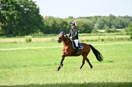 Goldene Schärpe Ponys in Löningen 2026 | 06062026 Gelände 1 Abt_0467 