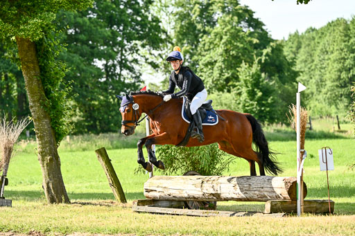Goldene Schärpe Ponys in Löningen 2026 | 06062026 Gelände 1 Abt_0469 