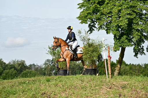 Goldene Schärpe Ponys in Löningen 2026 | 06062026 Gelände 1 Abt_0608 