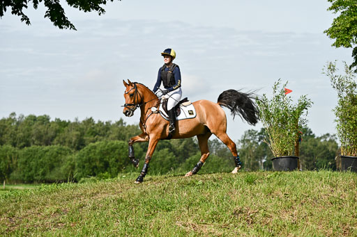 Goldene Schärpe Ponys in Löningen 2026 | 06062026 Gelände 1 Abt_0609 