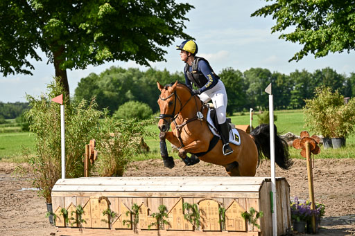 Goldene Schärpe Ponys in Löningen 2026 | 06062026 Gelände 1 Abt_0610 