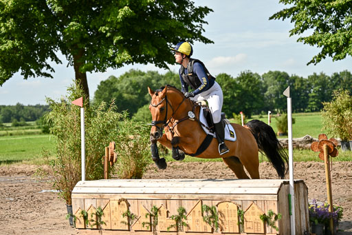 Goldene Schärpe Ponys in Löningen 2026 | 06062026 Gelände 1 Abt_0611 