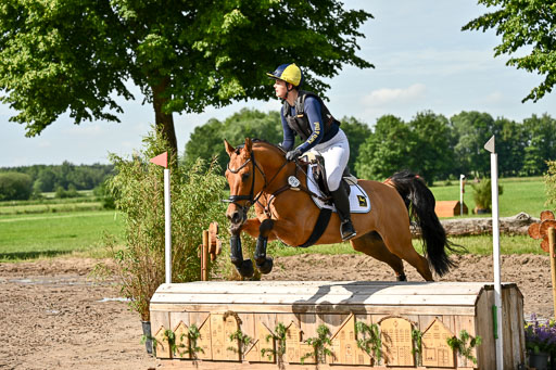 Goldene Schärpe Ponys in Löningen 2026 | 06062026 Gelände 1 Abt_0612 