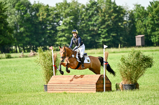 Goldene Schärpe Ponys in Löningen 2026 | 06062026 Gelände 1 Abt_0617 