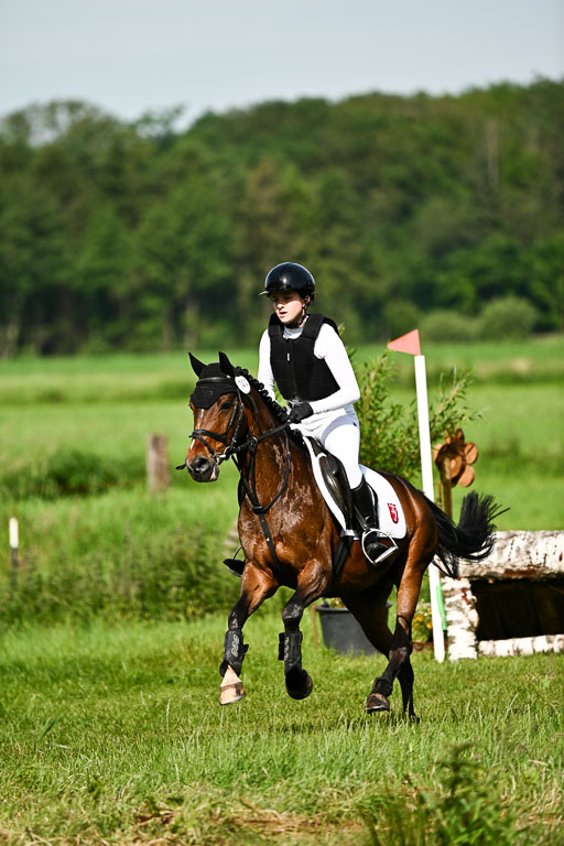 Goldene Schärpe Ponys in Löningen 2026 | 06062026 Gelände 1 Abt_0633 
