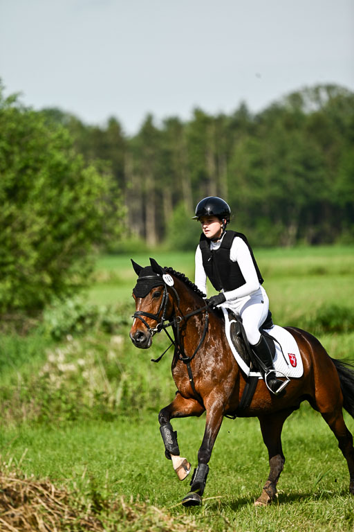Goldene Schärpe Ponys in Löningen 2026 | 06062026 Gelände 1 Abt_0634 
