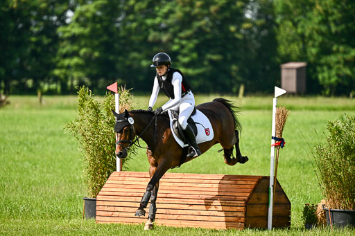 Goldene Schärpe Ponys in Löningen 2026 | 06062026 Gelände 1 Abt_0639 
