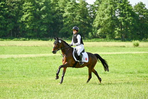 Goldene Schärpe Ponys in Löningen 2026 | 06062026 Gelände 1 Abt_0641 