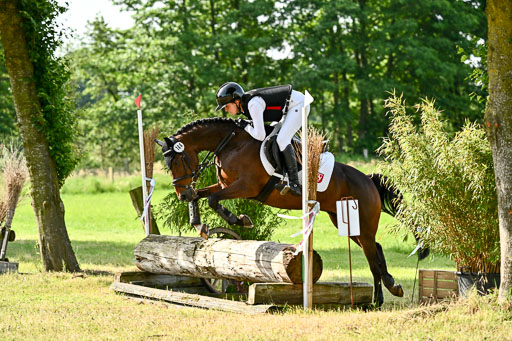 Goldene Schärpe Ponys in Löningen 2026 | 06062026 Gelände 1 Abt_0643 
