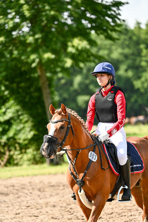 Goldene Schärpe Ponys in Löningen 2026 | 06062026 Gelände 1 Abt_0648 