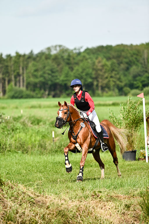 Goldene Schärpe Ponys in Löningen 2026 | 06062026 Gelände 1 Abt_0654 